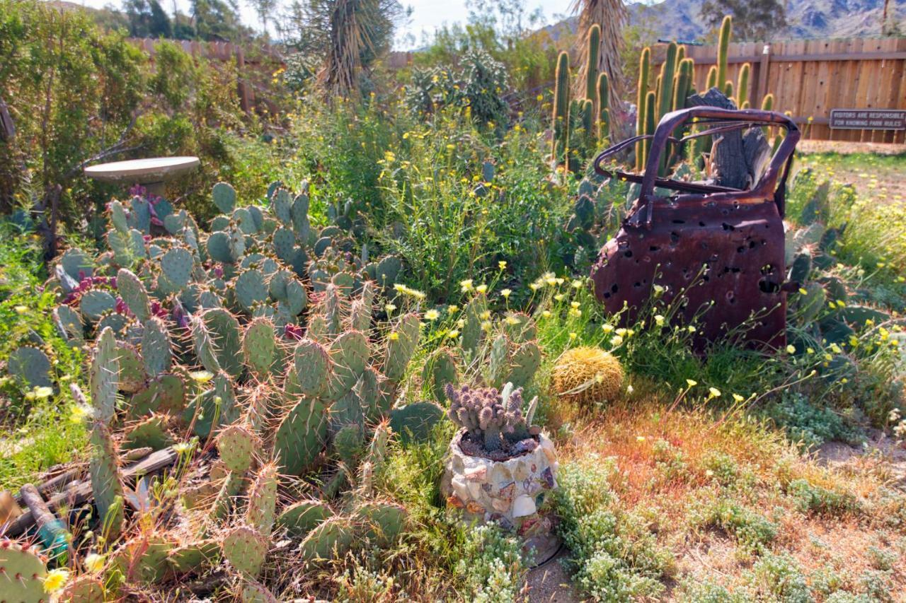 Vila Cactus Adobe Twentynine Palms Exteriér fotografie